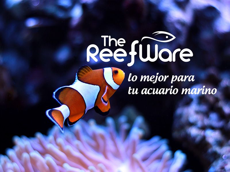 The Reef Ware
