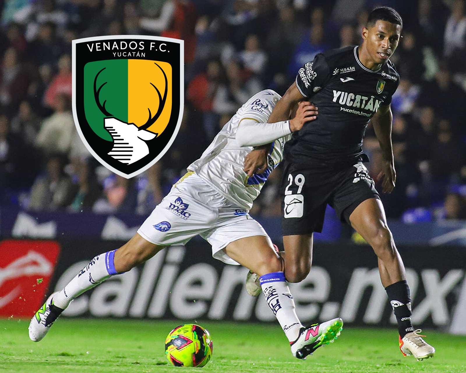Venados FC